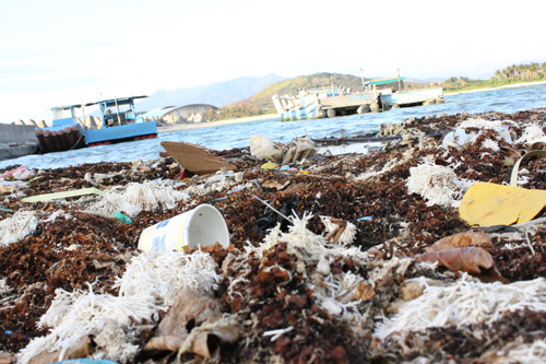 人吃魚，魚吃？ 蔣岳桐